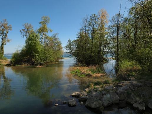 Naturschutzgebiet