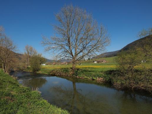 La Suze