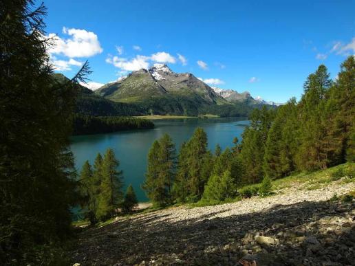 Silsersee