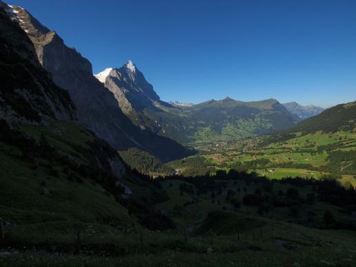 Sommermorgen in Grindelwald