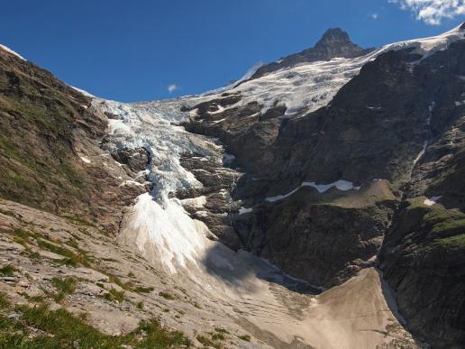 Oberer Grindelwaldgletscher mit Schreckhorn