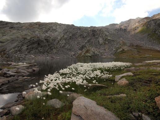 Sasso del Corbo