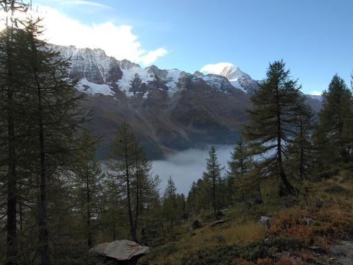 Nebel über dem Lötschental