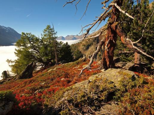 Herbst im Wallis