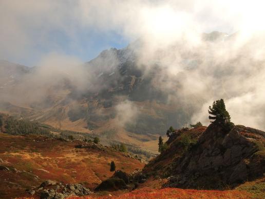 Nebelschwaden