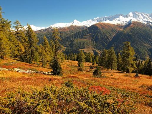 Herbst im Goms