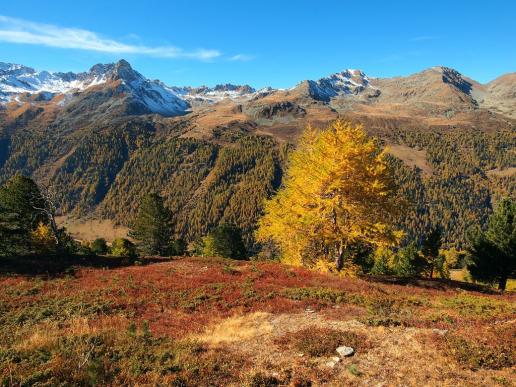Goldener Herbst