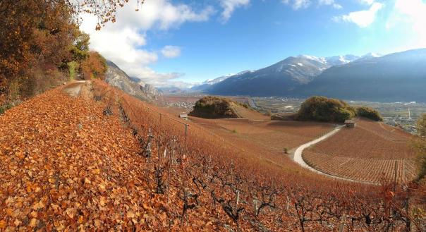 Unteres Rhônetal