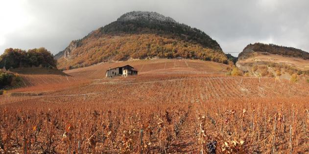 Tête du Betson