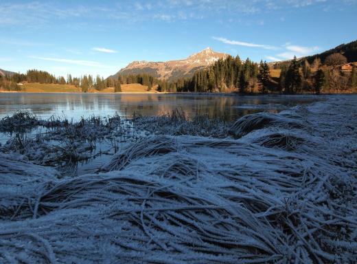 Eisiger Morgen am Lauenensee
