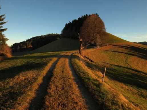 Morgens im Emmental