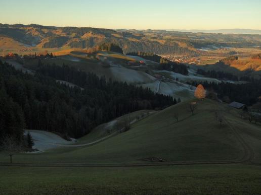 Emmental