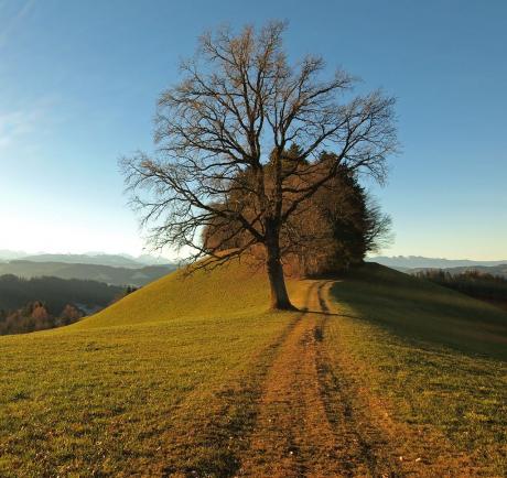 Der Weg ist das Ziel