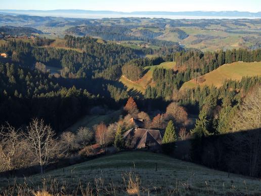 Sanfte Hügel