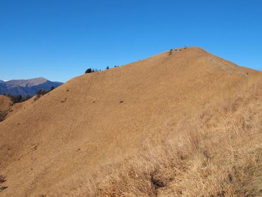 Monte Boglia