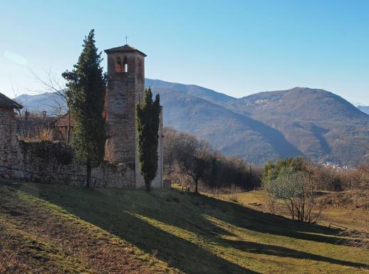 Torello